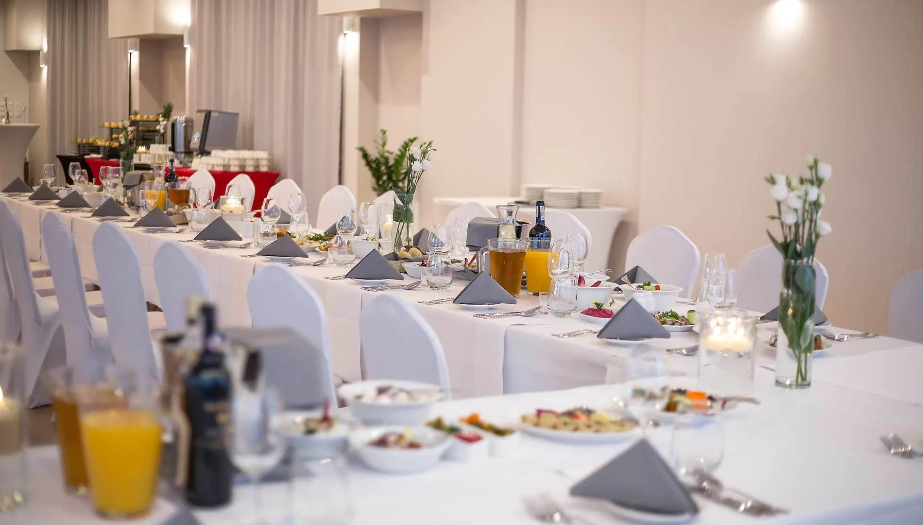 Hotel Mazovia Airport Modlin Новы-Двур-Мазовецкий